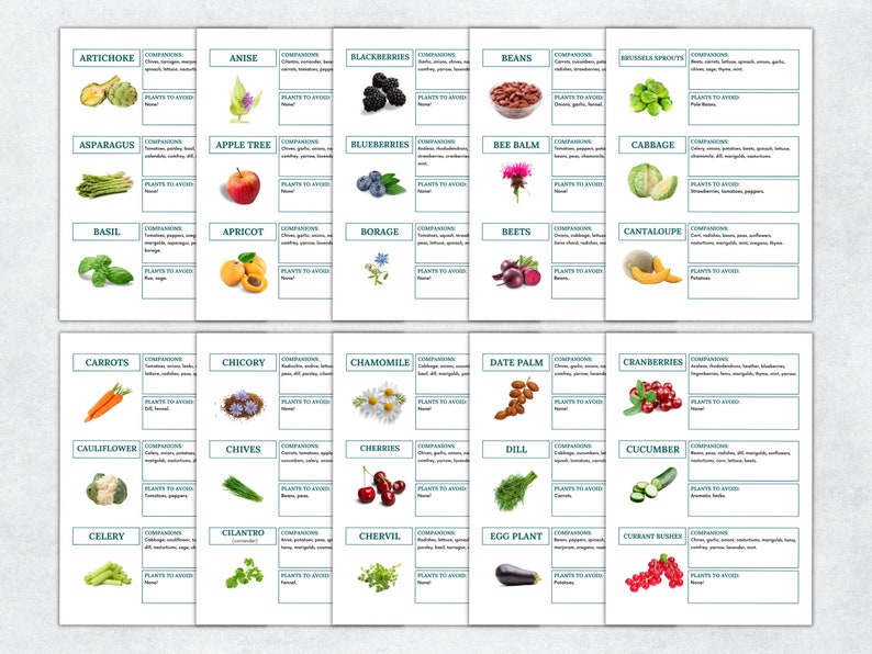 May include: A chart with illustrations of various fruits, vegetables, and herbs, along with their names and companion and avoid plants. The chart is divided into squares with a green border.