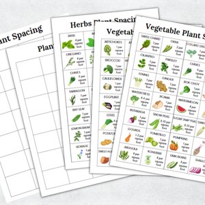 K&ouml;nnte beinhalten: Eine druckbare Tabelle mit einem Raster aus Quadraten, jedes mit einem anderen Gem&uuml;se oder Kraut, und dem empfohlenen Abstand zum Pflanzen. Die Tabelle enth&auml;lt Bilder der Pflanzen und den Text "Plant Spacing" und "Vegetable Plant Spacing".