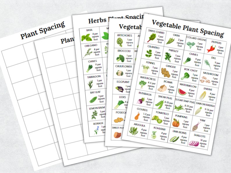K&ouml;nnte beinhalten: Eine druckbare Tabelle mit einem Raster aus Quadraten, jedes mit einem anderen Gem&uuml;se oder Kraut, und dem empfohlenen Abstand zum Pflanzen. Die Tabelle enth&auml;lt Bilder der Pflanzen und den Text "Plant Spacing" und "Vegetable Plant Spacing".