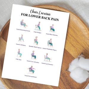 May include: A white printed sheet with the text "Chair Exercises FOR LOWER BACK PAIN" and illustrations of exercises. The sheet is on a wooden tray with a cotton flower.