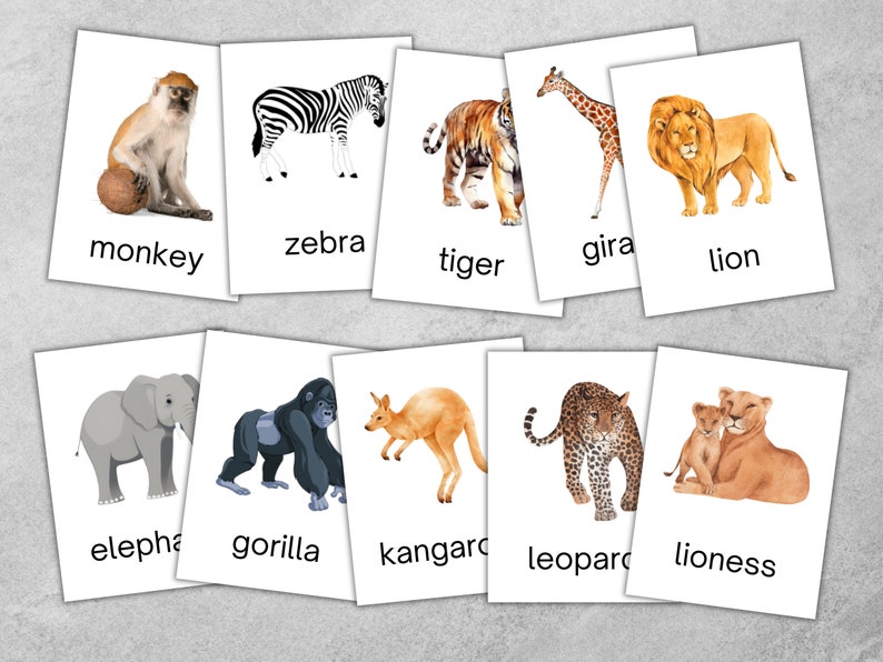 30 Jungle Animals Cards, Editable Montessori Flash Cards, Pre-school ...
