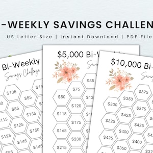Bi-Weekly Savings Challenge Printable, Money Challenge, Cash Envelope Insert, Savings Tracker Printable, Instant Download