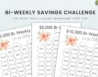 May include: Printable bi-weekly savings challenge with three different goals: $3,000, $5,000, and $10,000. Each goal is represented by a honeycomb pattern with dollar amounts in each cell. The design features a floral motif with pink and brown flowers.