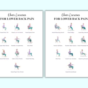 May include: Two white posters with illustrations of chair exercises for lower back pain. Each exercise is demonstrated with a person in a chair. Text at the top reads "Chair Exercises FOR LOWER BACK PAIN".