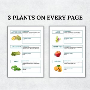 May include: A printable chart with illustrations of different plants, including artichoke, asparagus, basil, anise, apple tree, and apricot. Each plant has a section for companion plants and plants to avoid.
