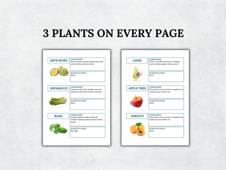 May include: A printable chart with illustrations of different plants, including artichoke, asparagus, basil, anise, apple tree, and apricot. Each plant has a section for companion plants and plants to avoid.