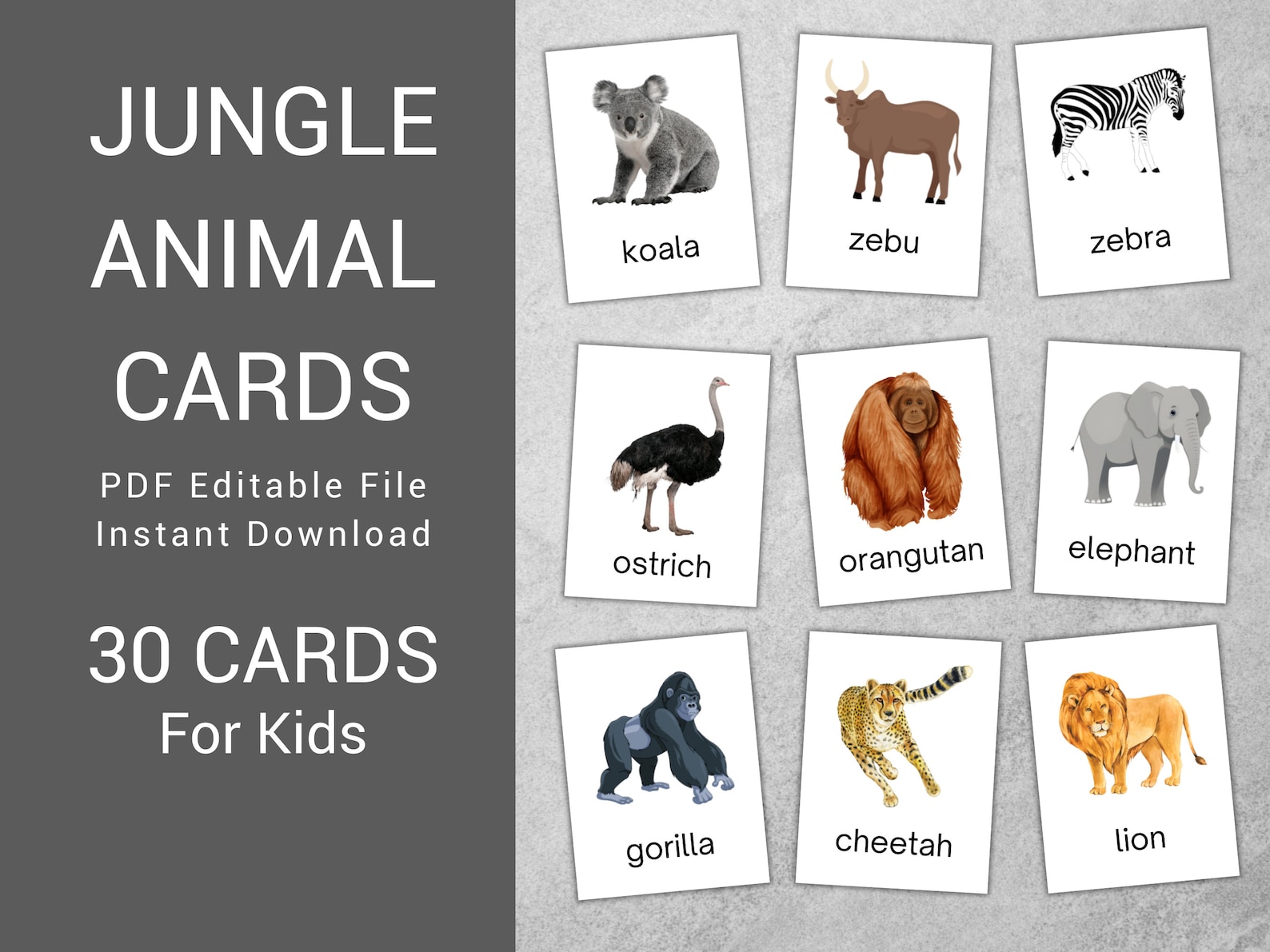 30 Jungle Animals Cards, Editable Montessori Flash Cards, Pre-school ...