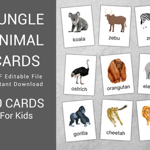 30 Jungle Animals Cards,  Editable Montessori Flash Cards, Pre-School Cards, Nomenclature FlashCards, Preschool Toys Flashcard