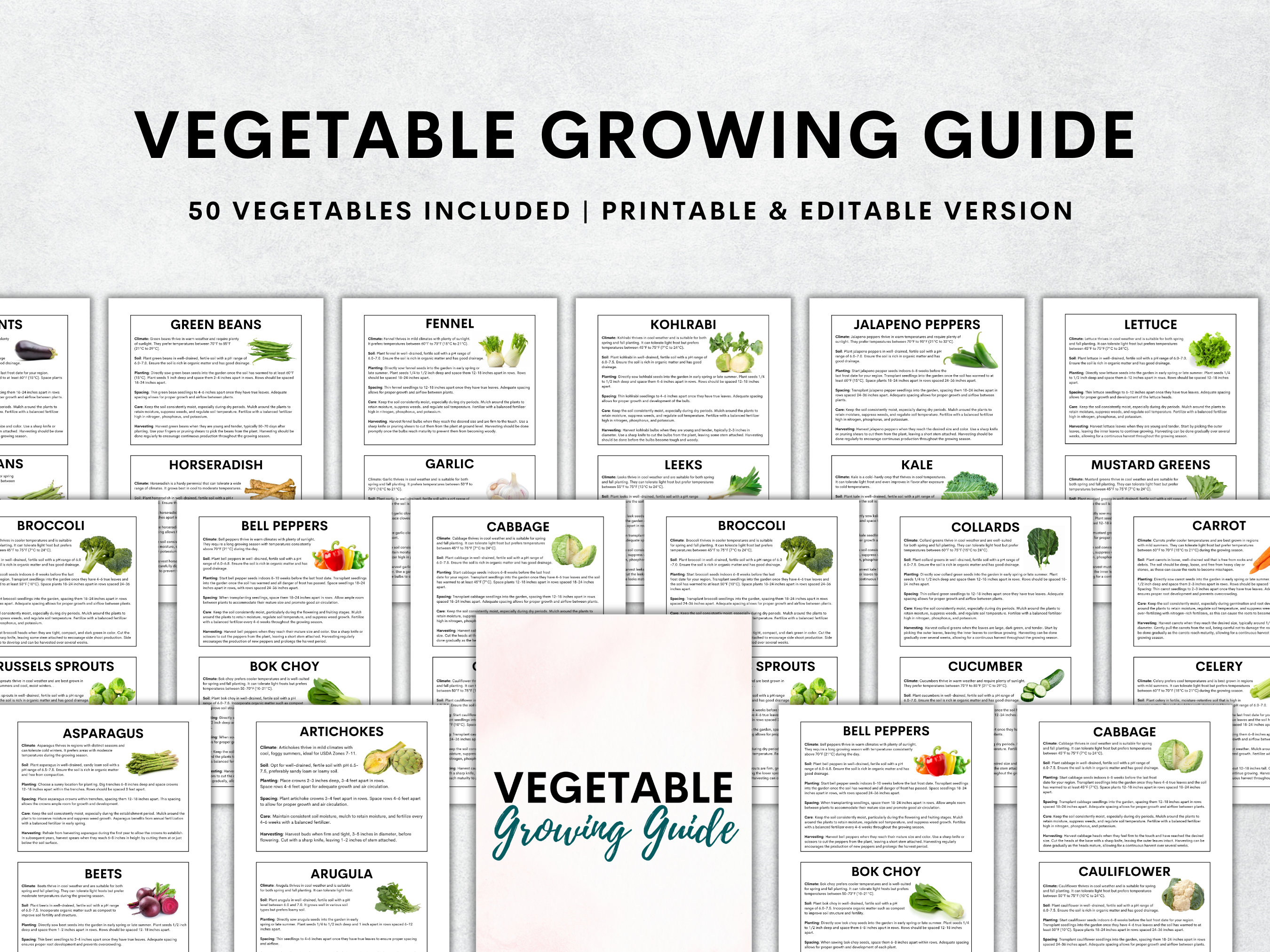 Vegetable Growing Guide, 50 Printable Vegetables Guide, Gardening Planner Printable, Plant Planner, Garden Organizer, Instant Download