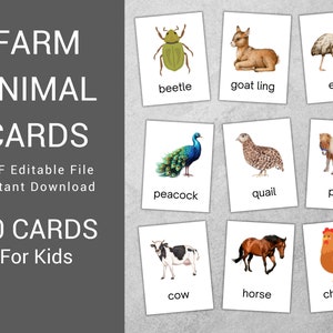 30 Farm Animals Cards,  Editable Montessori Flash Cards, Pre-School Cards, Nomenclature FlashCards, Preschool Toys Flashcard