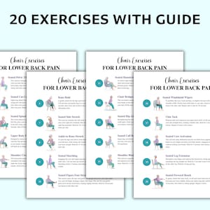 May include: A guide with 20 chair exercises for lower back pain. Each exercise is illustrated with a person in a chair, with instructions. The guide is on white paper with a teal accent color.