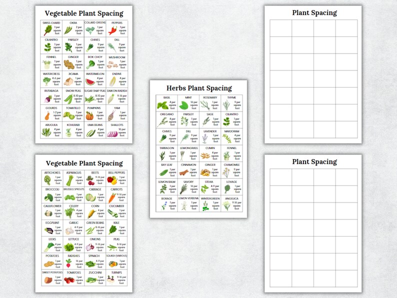 K&ouml;nnte beinhalten: Drei Diagramme mit Informationen zum Pflanzenabstand f&uuml;r Gem&uuml;se und Kr&auml;uter. Die Diagramme sind in Quadrate mit Bildern verschiedener Pflanzen und dem empfohlenen Abstand in Zoll unterteilt. Die Diagramme sind mit "Gem&uuml;se-Pflanzenabstand", "Kr&auml;uter-Pflanzenabstand" und "Pflanzenabstand" betitelt.