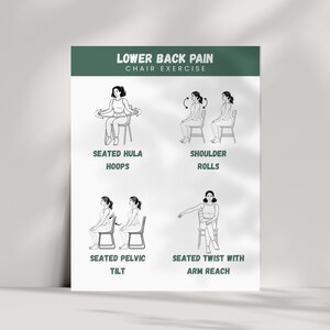 Chair Exercises for Lower Back Pain Relief: Seated Stretches (Printable PDF Guide) image 5