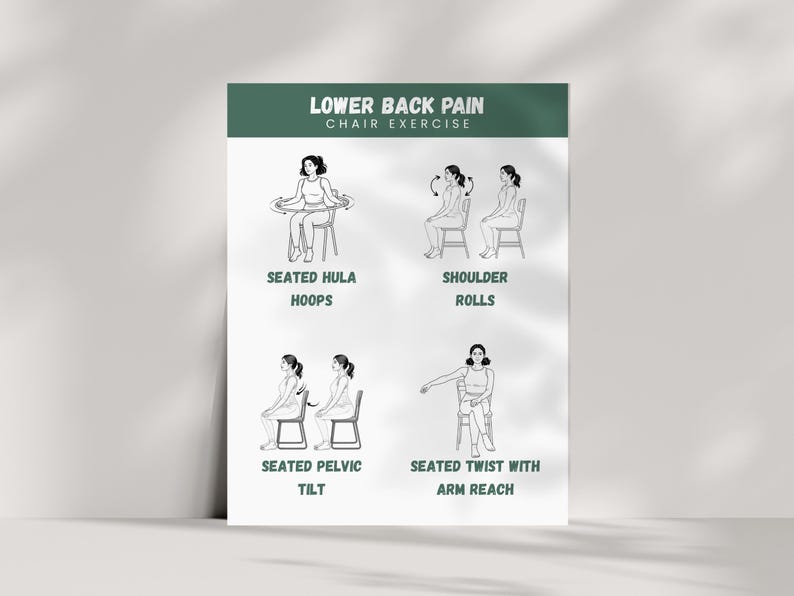 Chair Exercises for Lower Back Pain Relief: Seated Stretches (Printable PDF Guide) image 5