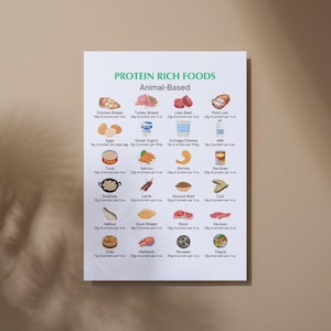 Puede incluir: Un gr&aacute;fico blanco con el t&iacute;tulo "Protein Rich Foods" y el subt&iacute;tulo "Animal-Based". El gr&aacute;fico enumera varios alimentos de origen animal con su contenido de prote&iacute;nas por porci&oacute;n. Cada alimento est&aacute; ilustrado con una imagen de dibujos animados.