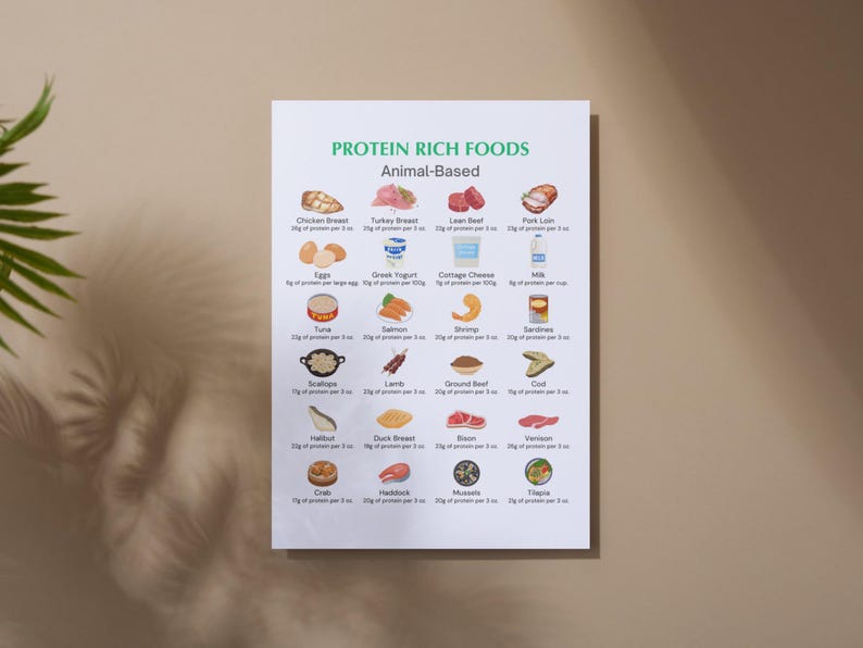 Puede incluir: Un gr&aacute;fico blanco con el t&iacute;tulo "Protein Rich Foods" y el subt&iacute;tulo "Animal-Based". El gr&aacute;fico enumera varios alimentos de origen animal con su contenido de prote&iacute;nas por porci&oacute;n. Cada alimento est&aacute; ilustrado con una imagen de dibujos animados.