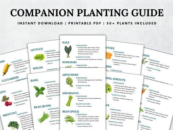 Companion Planting Guide, Garden Planning Chart, Garden Planner, Plant Planner, Garden Journal, Garden Organizer, Plants Records