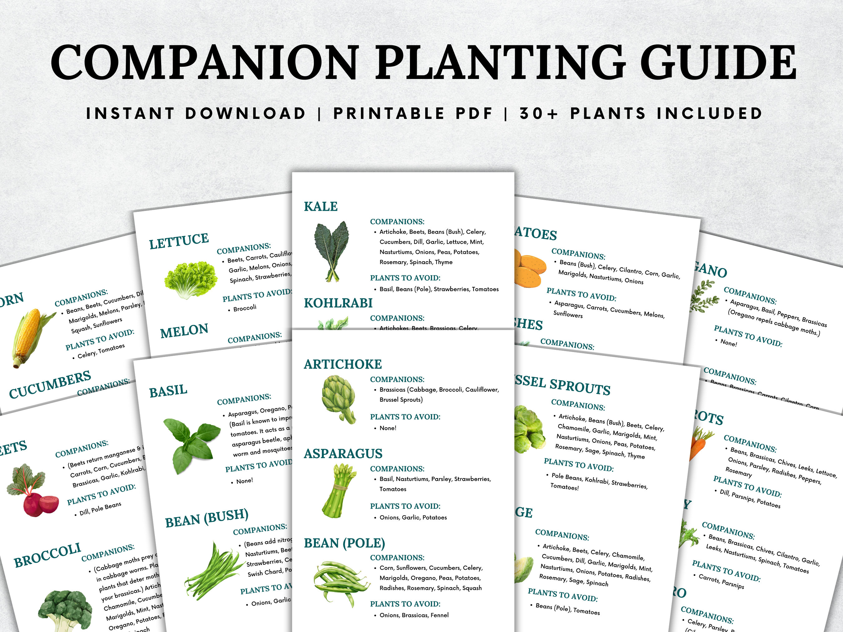 Companion Planting Guide, Garden Planning Chart, Garden