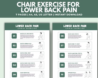 Chair Exercises for Lower Back Pain Relief: Seated Stretches (Printable PDF Guide)