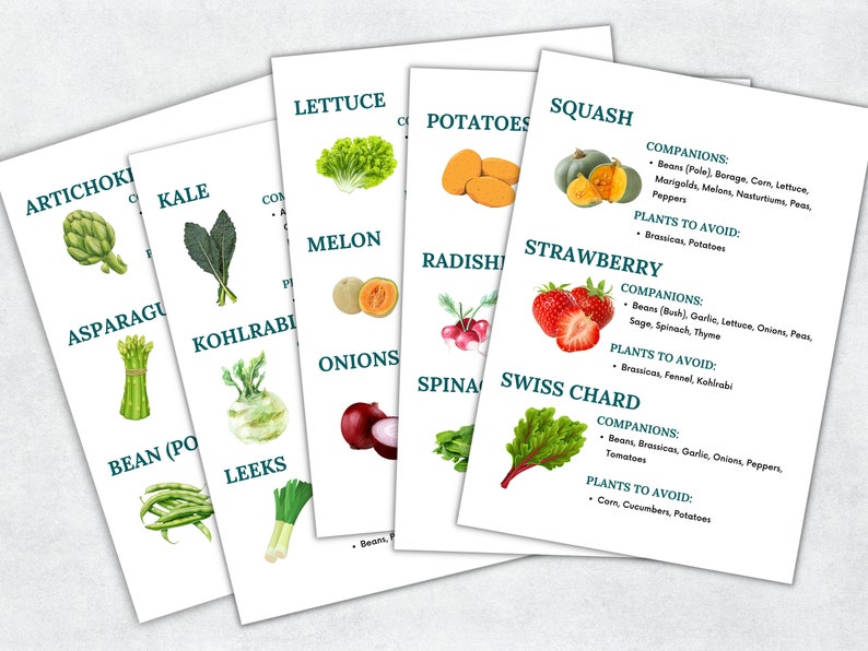 May include: A chart with illustrations of various vegetables and fruits, including artichoke, kale, asparagus, kohlrabi, bean, leek, lettuce, melon, onion, radish, potato, squash, strawberry, and swiss chard. The chart lists companion plants and plants to avoid for each vegetable and fruit.