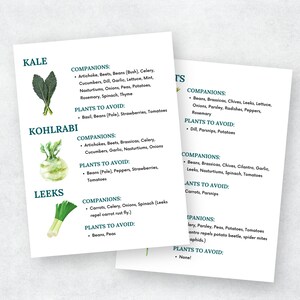 May include: A printable chart with watercolor illustrations of kale, kohlrabi, and leeks. The chart lists companion plants and plants to avoid when growing these vegetables.