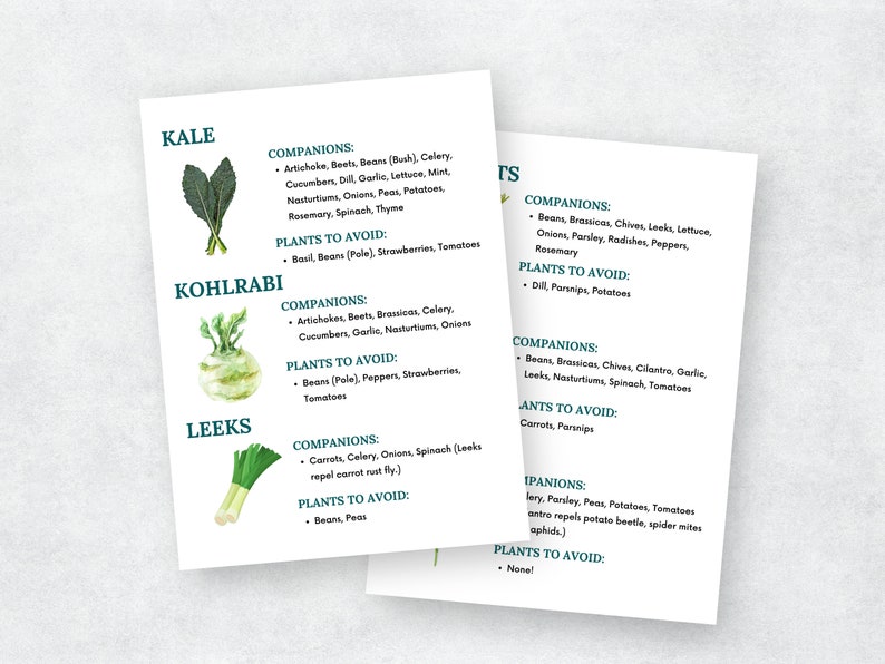 May include: A printable chart with watercolor illustrations of kale, kohlrabi, and leeks. The chart lists companion plants and plants to avoid when growing these vegetables.