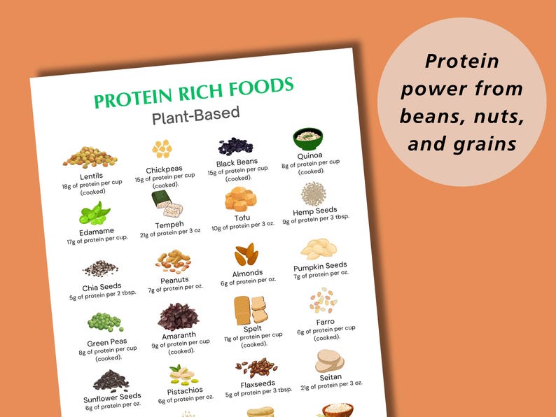 Puede incluir: Un gr&aacute;fico que enumera los alimentos ricos en prote&iacute;nas de origen vegetal con im&aacute;genes y gramos de prote&iacute;na por porci&oacute;n. El gr&aacute;fico incluye lentejas, garbanzos, frijoles negros, quinoa, edamame, tempeh, tofu, semillas de c&aacute;&ntilde;amo, semillas de ch&iacute;a, cacahuates, almendras, semillas de calabaza, ch&iacute;charos, amaranto, espelta, farro, semillas de girasol, pistachos, semillas de lino y seit&aacute;n.