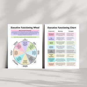 Adhd Executive Functioning Skills Chart for Educators, Executive ...