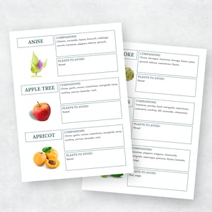 May include: A printable chart with a list of companion and avoid plants for different crops. The chart includes images of anise, apple tree, and apricot.