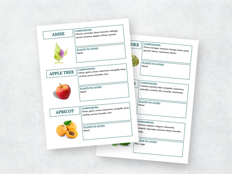 May include: A printable chart with a list of companion and avoid plants for different crops. The chart includes images of anise, apple tree, and apricot.