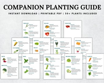 Companion Planting Guide, Garden Planning Chart, Garden Planner, Plant Planner, Garden Journal, Garden Organizer, Plants Records