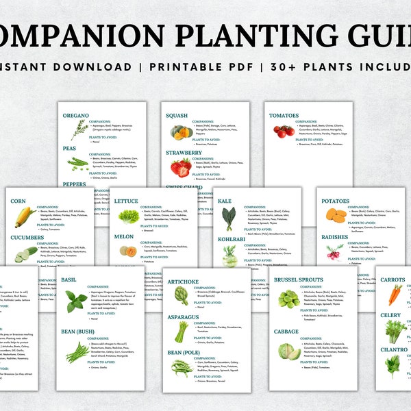 Companion Planting Guide, Garden Planning Chart, Garden Planner, Plant Planner, Garden Journal, Garden Organizer, Plants Records