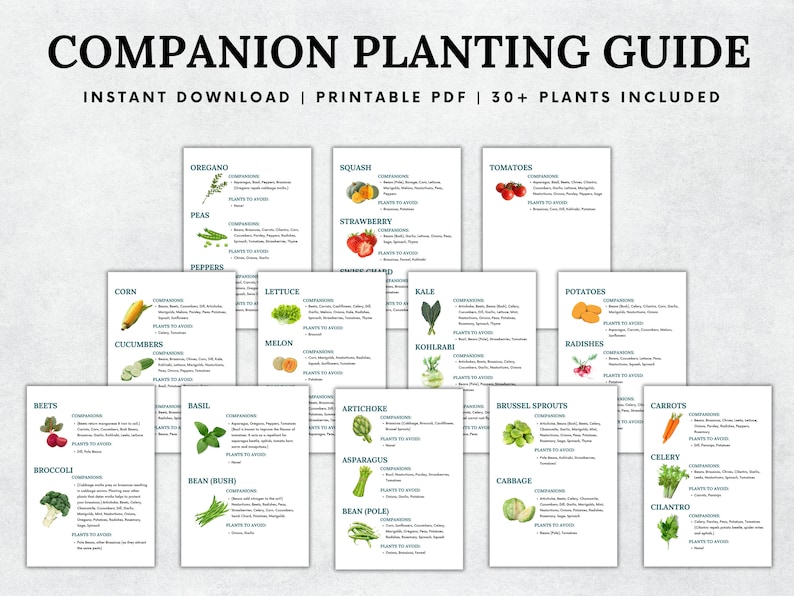 May include: A printable companion planting guide with illustrations of 30+ plants, including beets, broccoli, carrots, celery, and cilantro. The guide lists companion plants and plants to avoid for each crop.