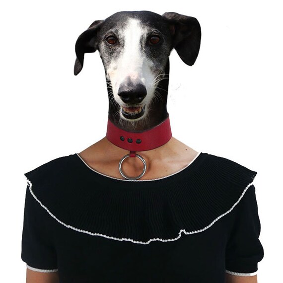 Moschino Dress
