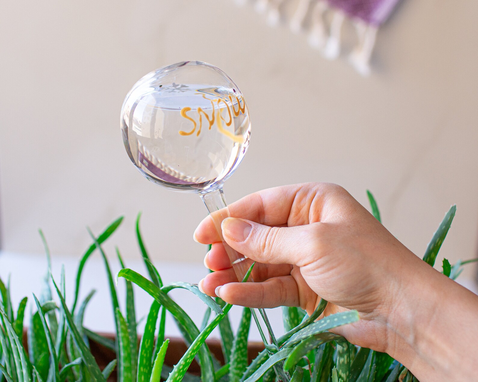 Glass Plant Watering Indoor Plant Watering Water Feeder Etsy