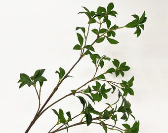 May include: A single stem of artificial greenery with multiple branches and green leaves.