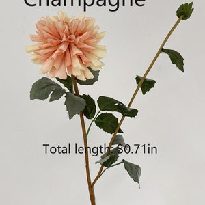 May include: A single stem artificial flower with a peach and cream colored dahlia bloom and green leaves. The stem is brown and the flower measures 30.71 inches in length. The flower is labeled "Champagne".