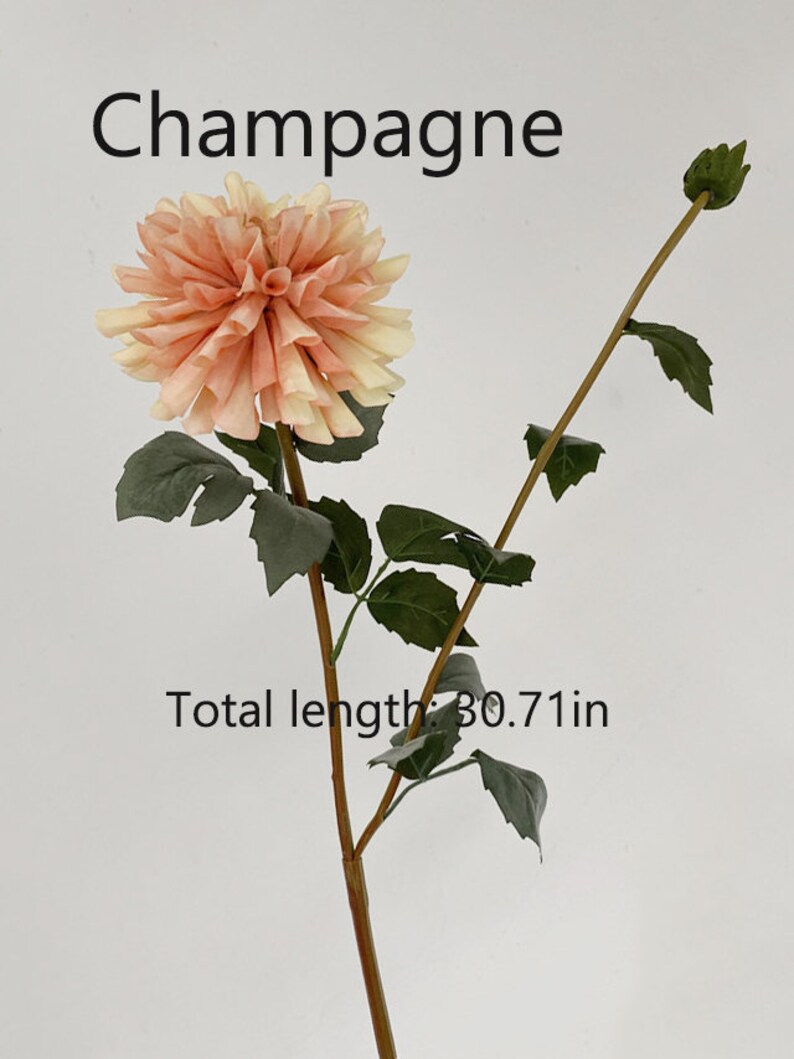 May include: A single stem artificial flower with a peach and cream colored dahlia bloom and green leaves. The stem is brown and the flower measures 30.71 inches in length. The flower is labeled "Champagne".