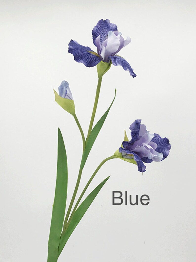 May include: A single stem of artificial blue iris flowers with two blooms and one bud. The flowers have a light purple and white center. The stem has long green leaves.