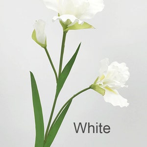 May include: A single stem of white artificial iris flowers with green leaves. The flowers are in bloom and the stem is long. The text "White" is visible in the image.