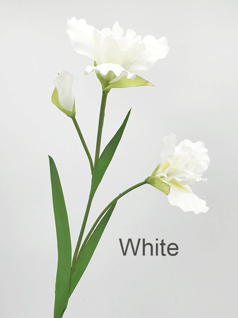May include: A single stem of white artificial iris flowers with green leaves. The flowers are in bloom and the stem is long. The text "White" is visible in the image.