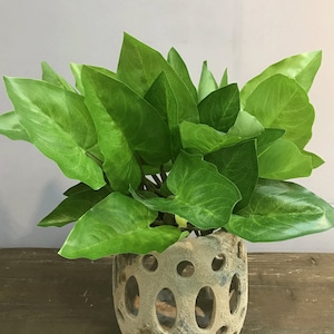Artificial Scindapsus, Realistic Caladium, Tropical Plant Decoration, Indoor Greenery Craft, Wedding Arrangement, Dining Table Floral Gift