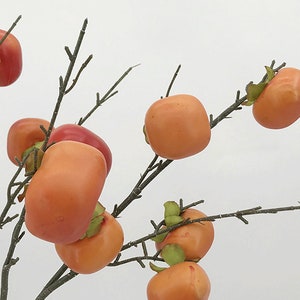 May include: A branch with multiple orange and red persimmon fruit. The persimmon fruit is arranged on the branch in a cluster.