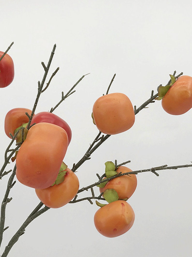 May include: A branch with multiple orange and red persimmon fruit. The persimmon fruit is arranged on the branch in a cluster.