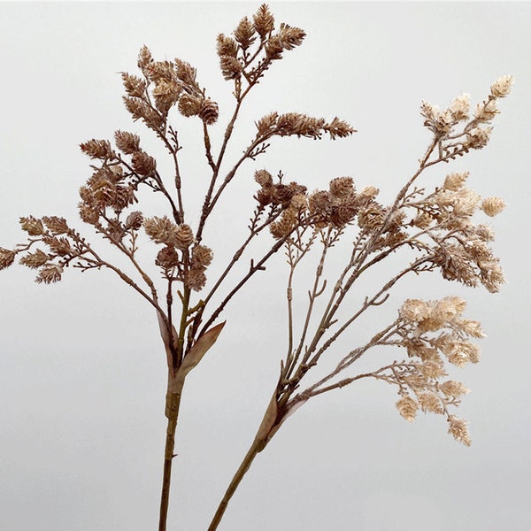 Dried Flowers With Stems Etsy