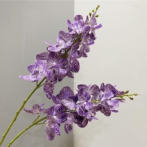 以下が含まれることがあります： 白い斑点のある紫色の蘭の花のブーケ。花は緑色の茎に配置されています。