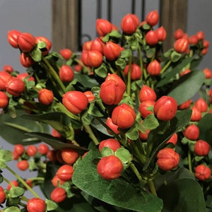 Kunstmatige Hypericum Berry Stengel, Nep kleine Fruit Spray, Rustieke Wilde Fruit Bloemen, Woonkamer Bloem Decor, Bruiloft Bruids Boeket Filler