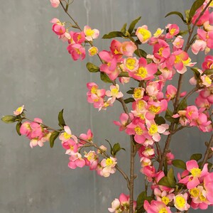 May include: A branch of pink and yellow flowers with green leaves against a gray background.
