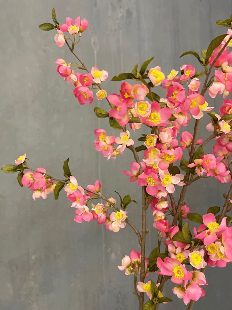 May include: A branch of pink and yellow flowers with green leaves against a gray background.
