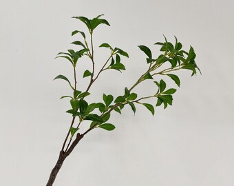 Ramo di pianta artificiale Pieris Japonica, steli di foglie finte, vegetazione realistica, artigianato floreale decorativo, decorazione floreale per la casa, disposizione per interni